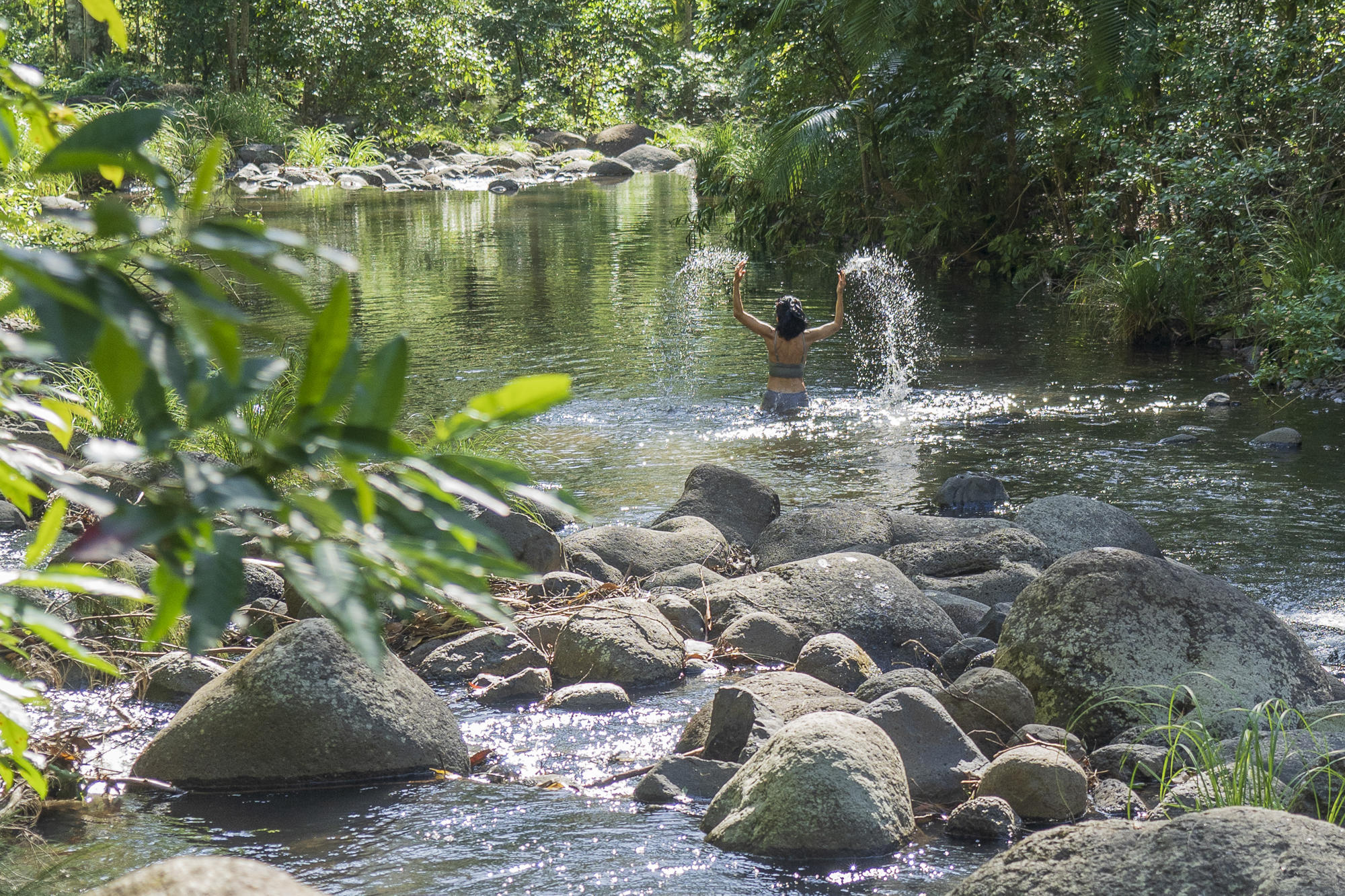 Sine Cera Rainforest Retreat - Gradys Creek - Swimming holes - Donatella Parisini