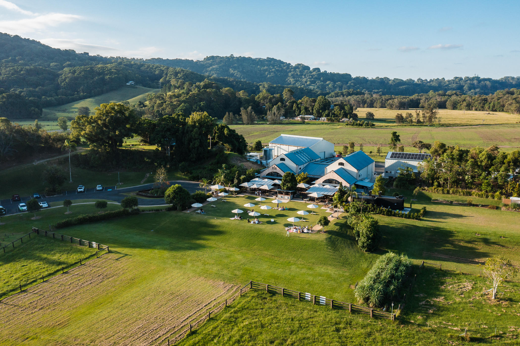 Husk Farm Distillery is set on beautiful grounds, surrounded by150acres of cattle and cane farm.